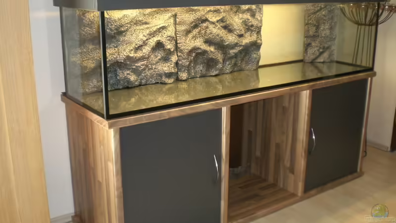 Becken im Aufbau von Thomas Dietrich (2)