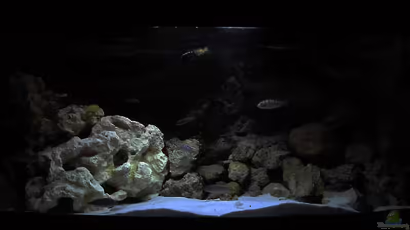 Becken im ??bergang Tag/Nacht mit Kaltlichtkathode von African Lake (4)