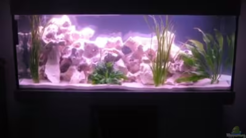 Becken im dunkeln von Mathias Schlett (8)