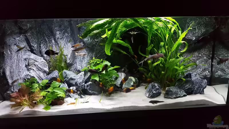 Becken im Esszimmer von da Dida (1)