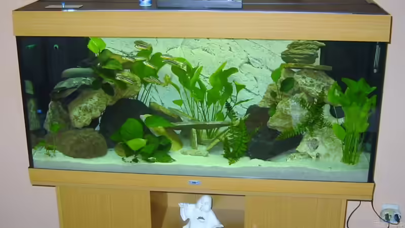 Becken im Gesamtbild von Kai Jipp (2)