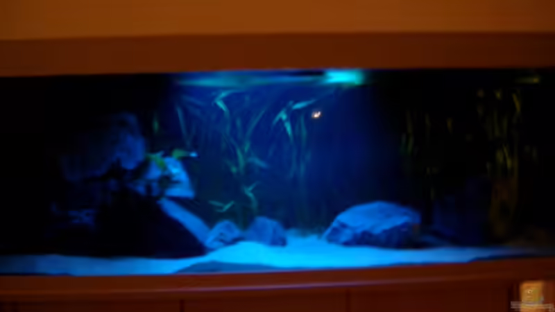 Becken im Mondlicht von Crenii (3)