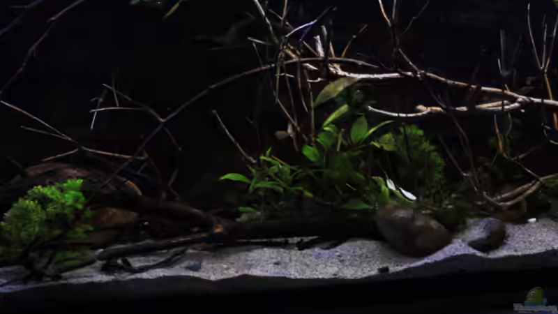 Becken im neuem Look, leicht schräg aufgenommen von Florian Bandhauer (3)