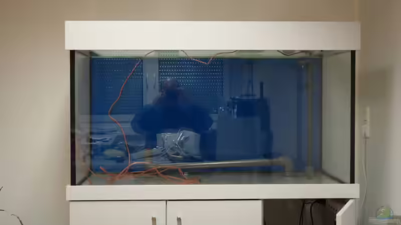 Becken im Rohzustand von flaschenbauer (2)