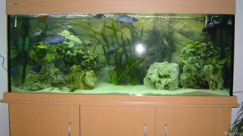 Becken im Wohnzimmer