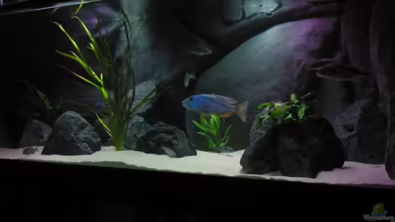 Becken in Abendbeleuchtung von Schlock (2)