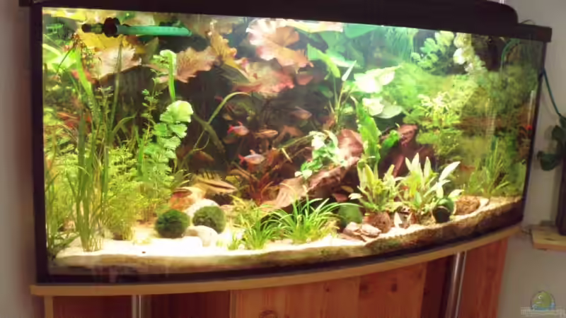 Becken in alter Gestaltung am 02.05.09 von ~Marco~ (2)