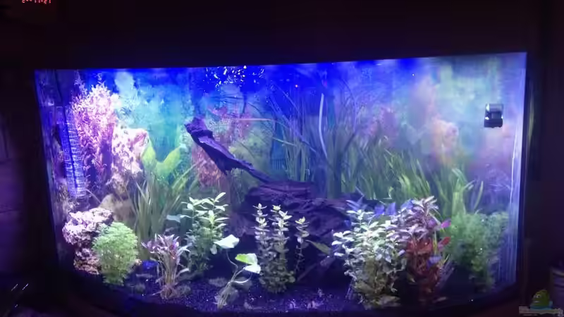 Becken in der Abend-Dämmerung von Torsten Dau (2)