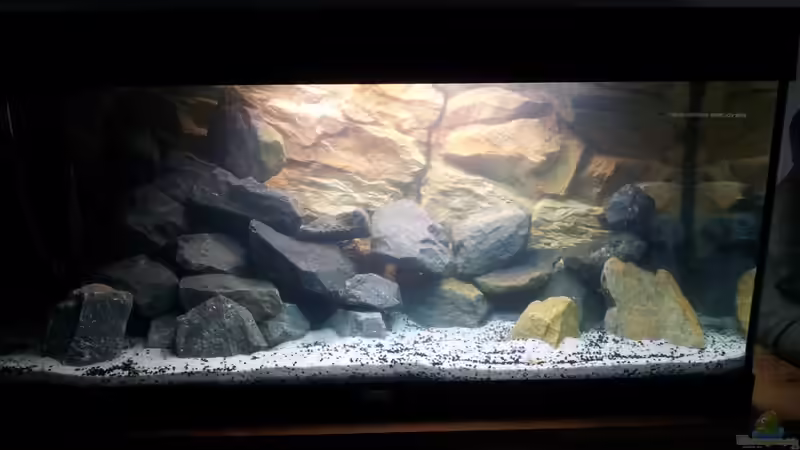 Becken in der Einlaufphase von Martin N. (5)