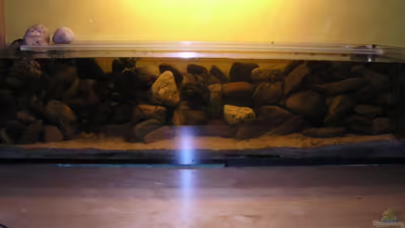 Becken in der Gesamtansicht von David Leßnig (2)