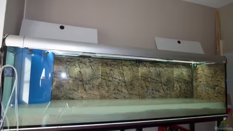 Becken ist dicht und der Sand eingefüllt von Lippi (24)