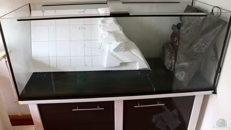 Becken ist draufgesetzt, Stellprobe der Rückwandrohlinge  von Cruiser Bruno (29)