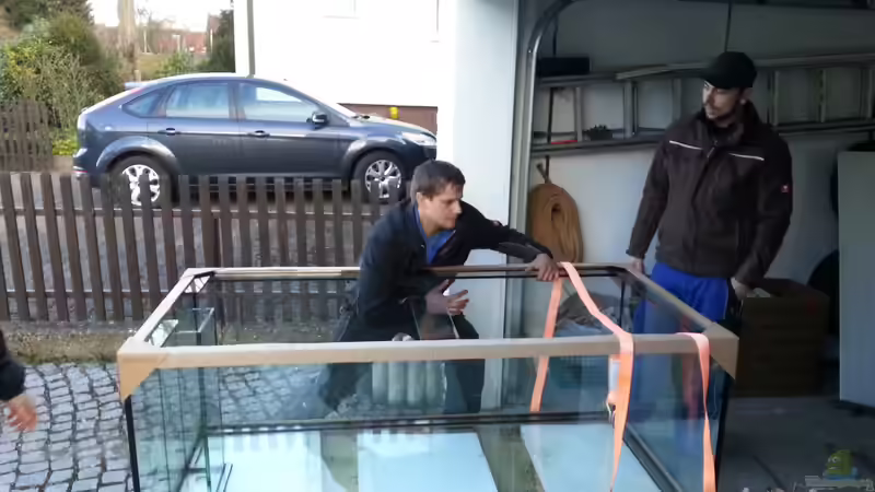 Becken ist endlich gekommen von slobe (22)