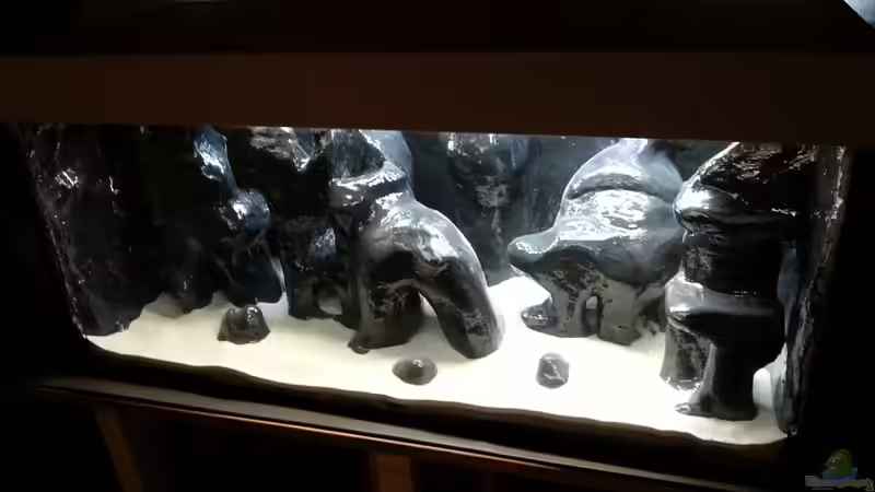 Becken ist fertig noch ohne Wasser von Michael Boeck (3)