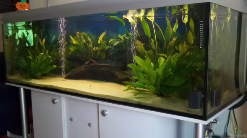 becken jetzt 16.10.2011  neu 2 960l von Cliff Lehmann (8)