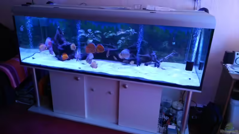 becken jetzt von Cliff Lehmann (1)