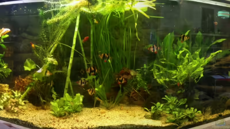 Becken Juli 2013 von Babsi Aud (2)