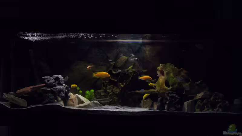 Becken Juni 2014 von Philipp Mikuletz (1)