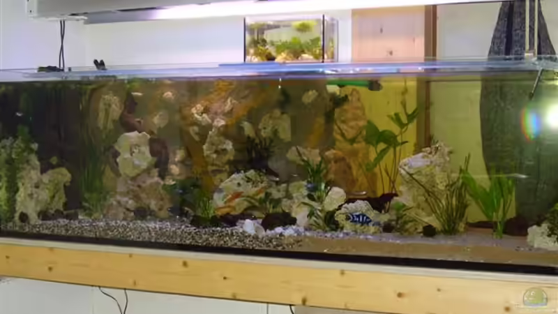 Becken komplett, mit neuer Beleuchtung :) von Peters Laden (2)