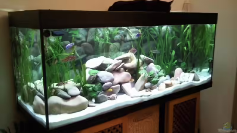 Becken komplett Ansicht von Michael 123 (7)