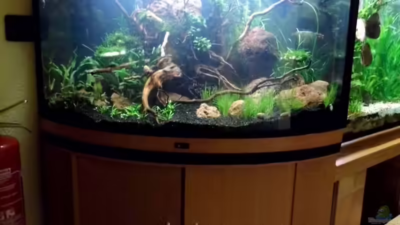 Becken Komplettansicht von snooze (2)