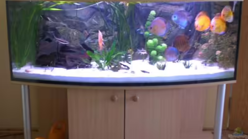 Becken läuft seit 09.06