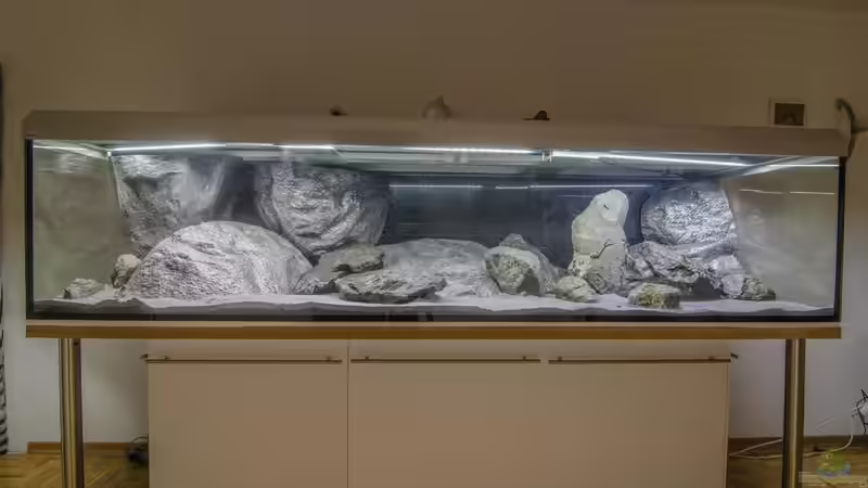 Becken leer, erstes Groblayout mit Modulen und einem Teil des Basalts und Sand von ClioB (6)