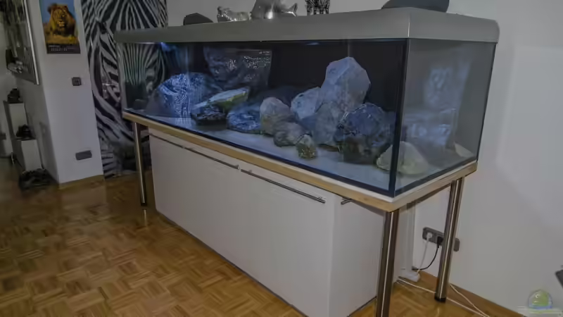 Becken leer, erstes Groblayout mit Modulen und einem Teil des Basalts von ClioB (4)