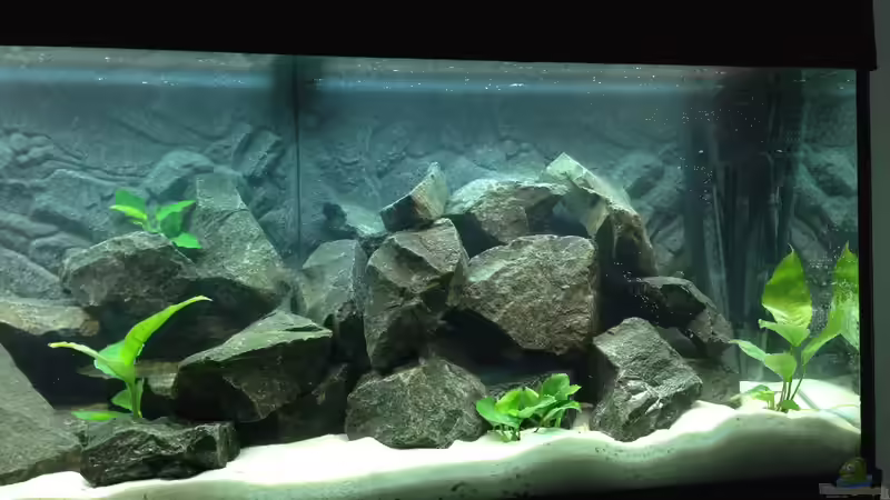 Becken leer von Benjamin Schmider (6)