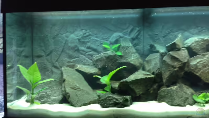 Becken leer von Benjamin Schmider (7)