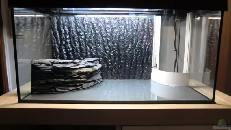 Becken (leer) von Mark Wittig (7)