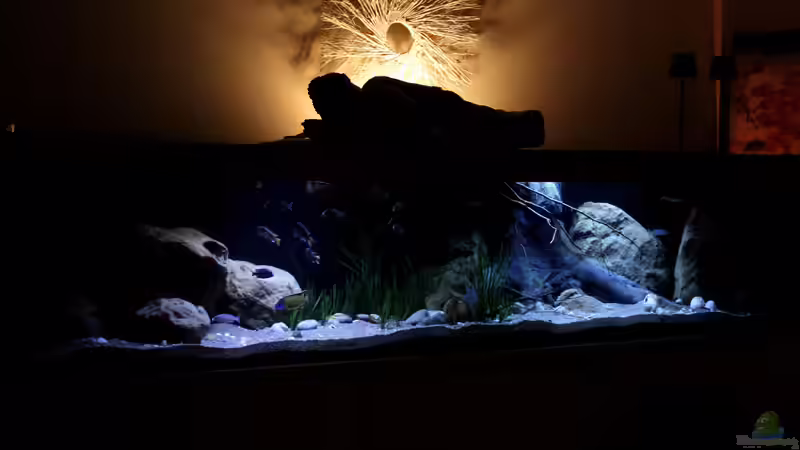 Becken leicht schräg aufgenommen von Florian Bandhauer (5)