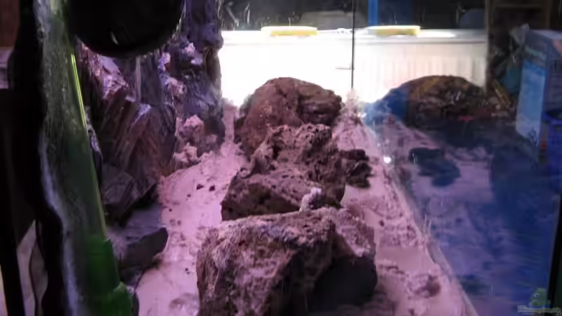 Becken linke seite--->tiefe der Rückwanhd gut ersichtlich von Gladbacherfohlen86 (8)