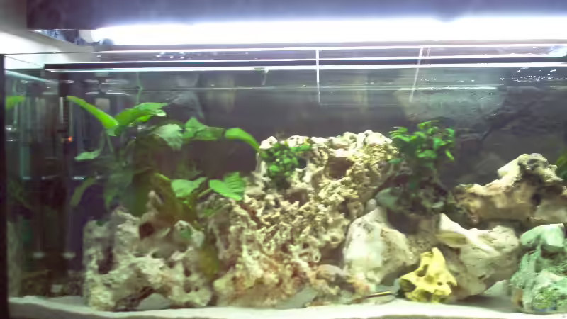 Becken linke Seite von Alexander Siefer (3)