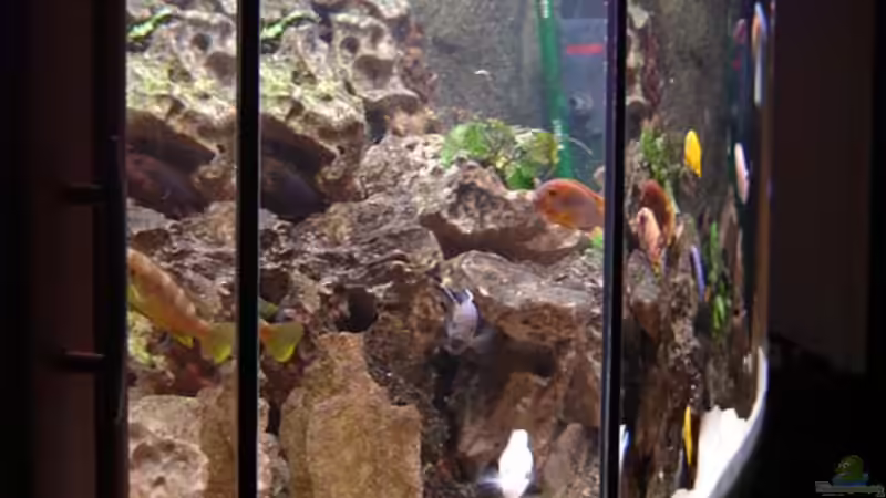 Becken linke Seite von Claudia Freyschmidt (2)