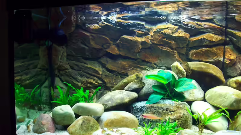 Becken linke Seite von Ollinger (2)