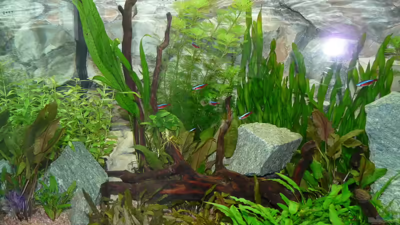 Becken linke Seite von Zewana (7)