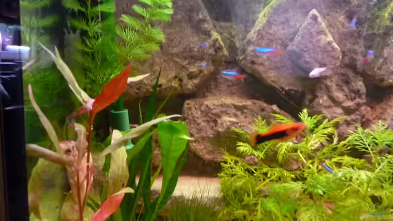 Becken Links 26.10.2013 von Jan H. (12)