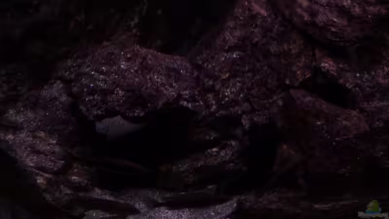 Becken links am Abend von DER YBBSTALER (8)