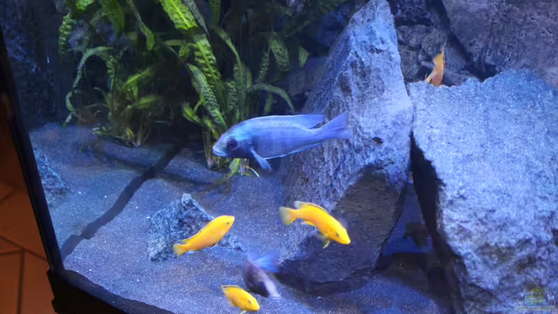 Becken links von chR576 (13)