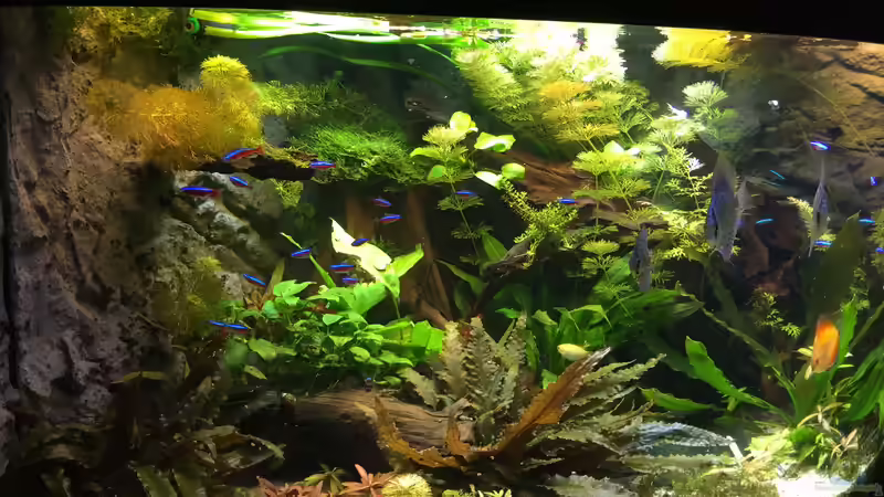 Becken links von Diedelsen (9)