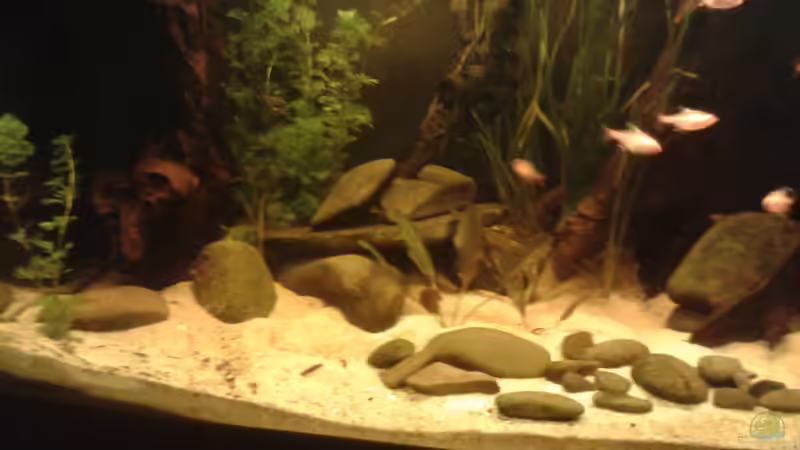 Becken links von Kai Heermann (17)