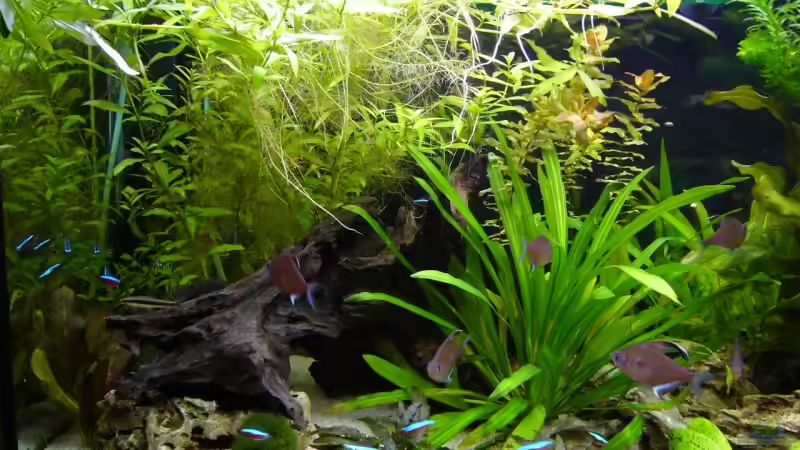 Becken Links von Micha WB (5)