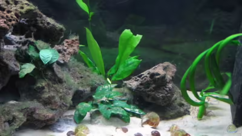 Becken links von Michael Häberle & Jane Lindenlaub (2)