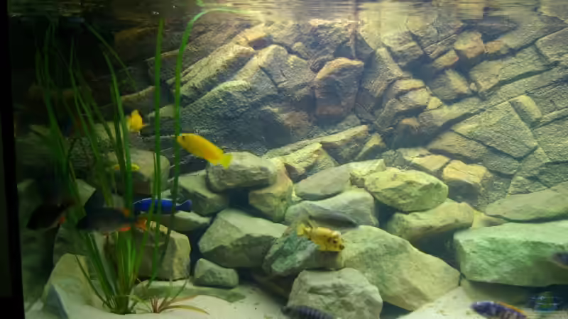 Becken links von Nico A. (2)