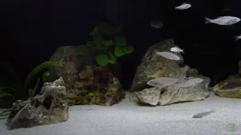 Becken links von Rainer Faßbender (3)