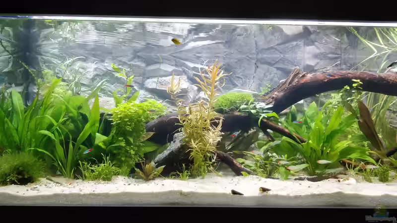 Becken links von Woidma (33)