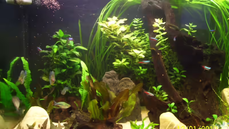 Becken link´s vor dem Umbau von kaktus-jones (6)