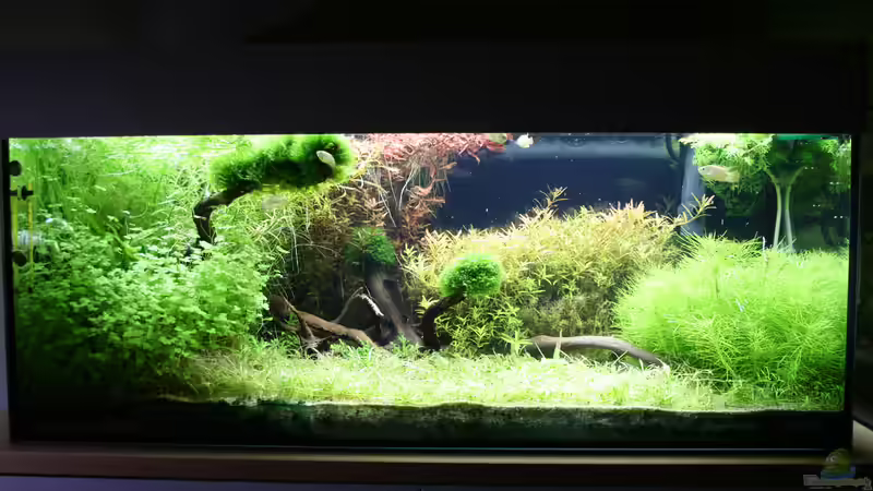 Becken März 2022 von Susanne Axt (1)