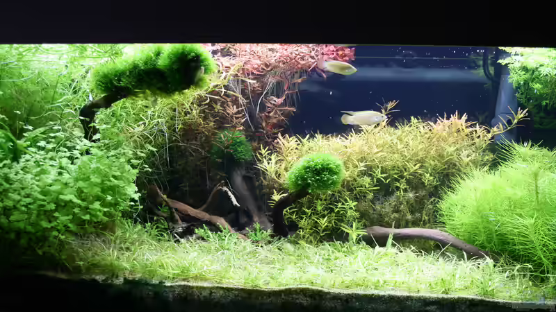 Becken März 2022 von Susanne Axt (2)